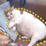 数学——一生之敌