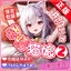 柔情二代猫娘2进阶圣杯店's avatar
