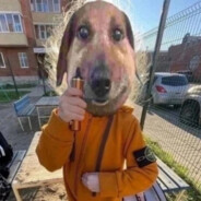 ✙ sharik - steam id 76561198827673716