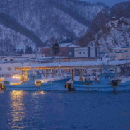 天选洗碗工（卡退版）