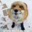 Kuru