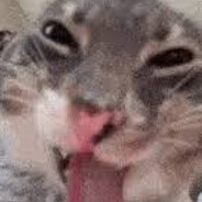 Monke