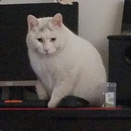 Big Avatar