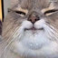 Lolzkat