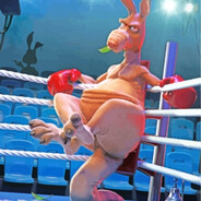 GTM | Absolute Kangurr <3