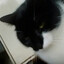 :3| unknownplayer1115 [TPUB]