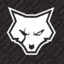 *™*Bad Wolf*
