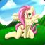 FlutterFuckShy