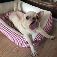 小时候不小心长出了机霸