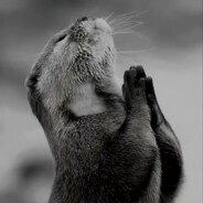 没有你我可怎么活啊