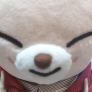 北极以北没有光