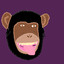 Chimp