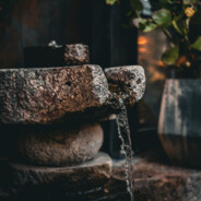 人类高质量男性