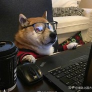 伯乐见我说好马