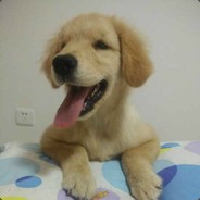 宝儿*斗鱼4836231