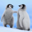 Pingu
