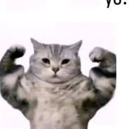 JuGeR - steam id 76561199636109996