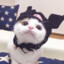 么嗷喵