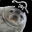 Pirate Seal