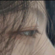 ---下等马分界线---