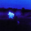 Dino_Nuggets