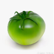 西绿柿_The prince