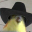mrsrewdie