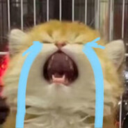 W_enwen今天吃什么