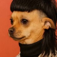 FelpX