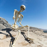 Skeleton