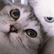 一生纯白siuuuuuu