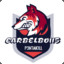 Carbelbo115