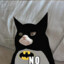 BatCat