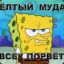 !!SpongeBob!!