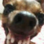 Killer i love u &lt;3