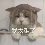 玩家头像