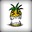 Pineapples™
