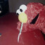 CokeReloaded