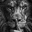 AWP | Lion