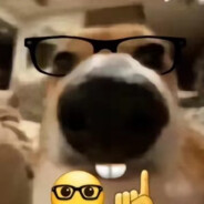 深大第五自由人