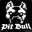 ★☠^_^PyT_^_Bull^_^☠★