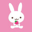 poppy