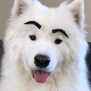 Fake eyebrows