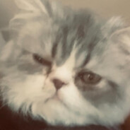 CatLord KatthövdingenIbrahimovi