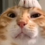 火山石烤肠也会有烦恼