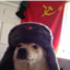 Stalin Dog