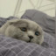 _YaroV_
