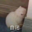 落难小陶