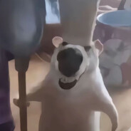 她说戴了不算做