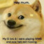 Doge